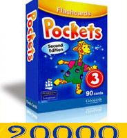 flash card pocket3