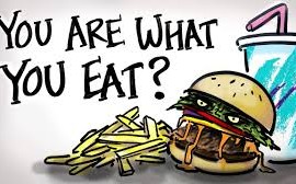 you are what you eat